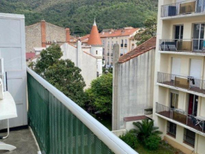 Charmant Studio Centre Amélie-les-Bains avec Balcon, Garage et Ascenseur - FR-1-703-132